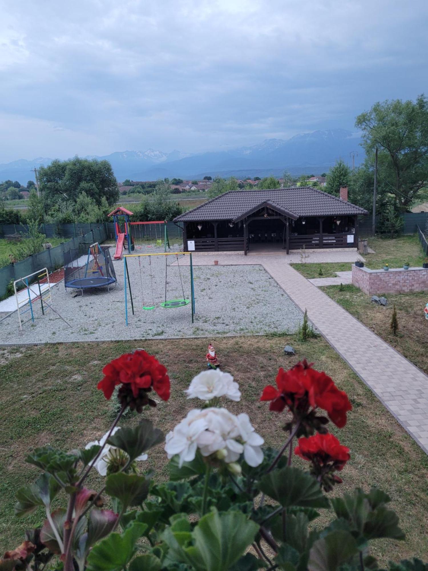 Casa Sofia Avrig Villa Luaran gambar